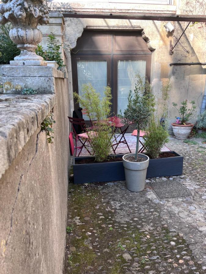 Salut Le Petit Gite Carcassonne Ngoại thất bức ảnh